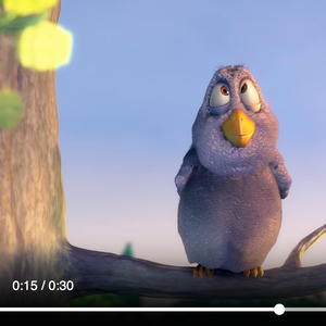 Binary video via MCP resources Video Resource